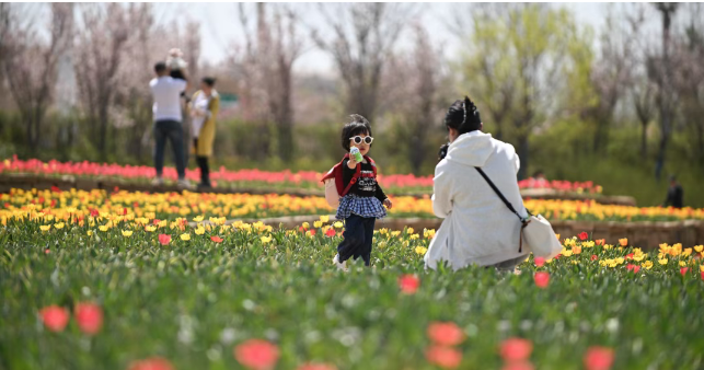 打卡“太行天池”！邂逅“长治IP”四季美景