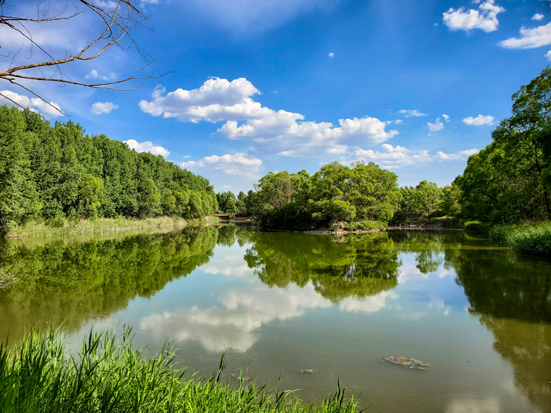 景观湖
